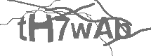 CAPTCHA Image