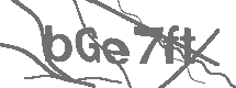 CAPTCHA Image