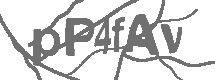 CAPTCHA Image